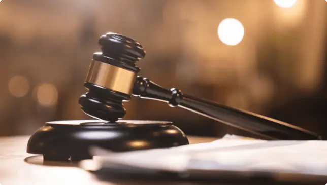 expert-witness
